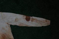DSC00129-scaled