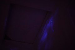 DSC00039-scaled
