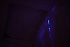 DSC00042-scaled