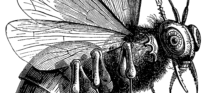 depiction of the lord of flys beelzebub