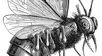 Beelzebub illustration from the Dictionnaire Infernal