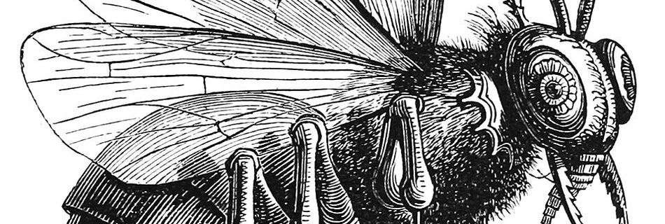Beelzebub depicted as a winged fly in Louis Le Breton’s 1863 illustration
