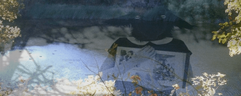 Waterdog Lake in Belmont California, original LiveSciFi article artwork