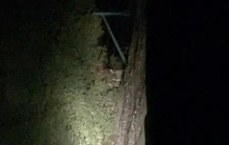 Archival purported ghost sighting image from McEwan Road in Port Costa associated with the Lady in Red legend