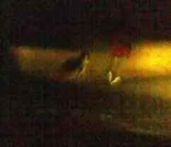 Archival Lady in Red image associated with McEwan Road ghost sightings near Port Costa California