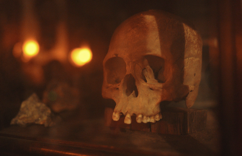 Skull photograph provided for the Mackay Mansion investigation, reportedly found on the Virginia City property